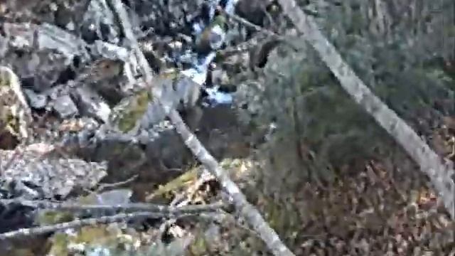 Я и Волчок на Пидане