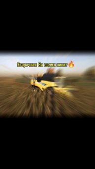 Уборочная на полях кипит 🚜#farmingsimulator20 #ферма #сх #игра #ферма #android