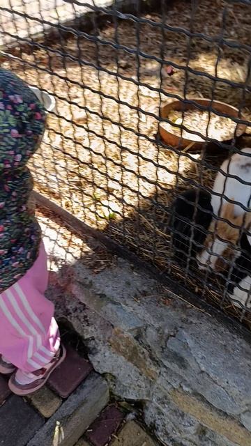 Зоопарк.Ялта.