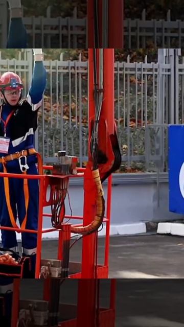 Россия в условиях санкций: какие отрасли российской экономики продолжают развиваться