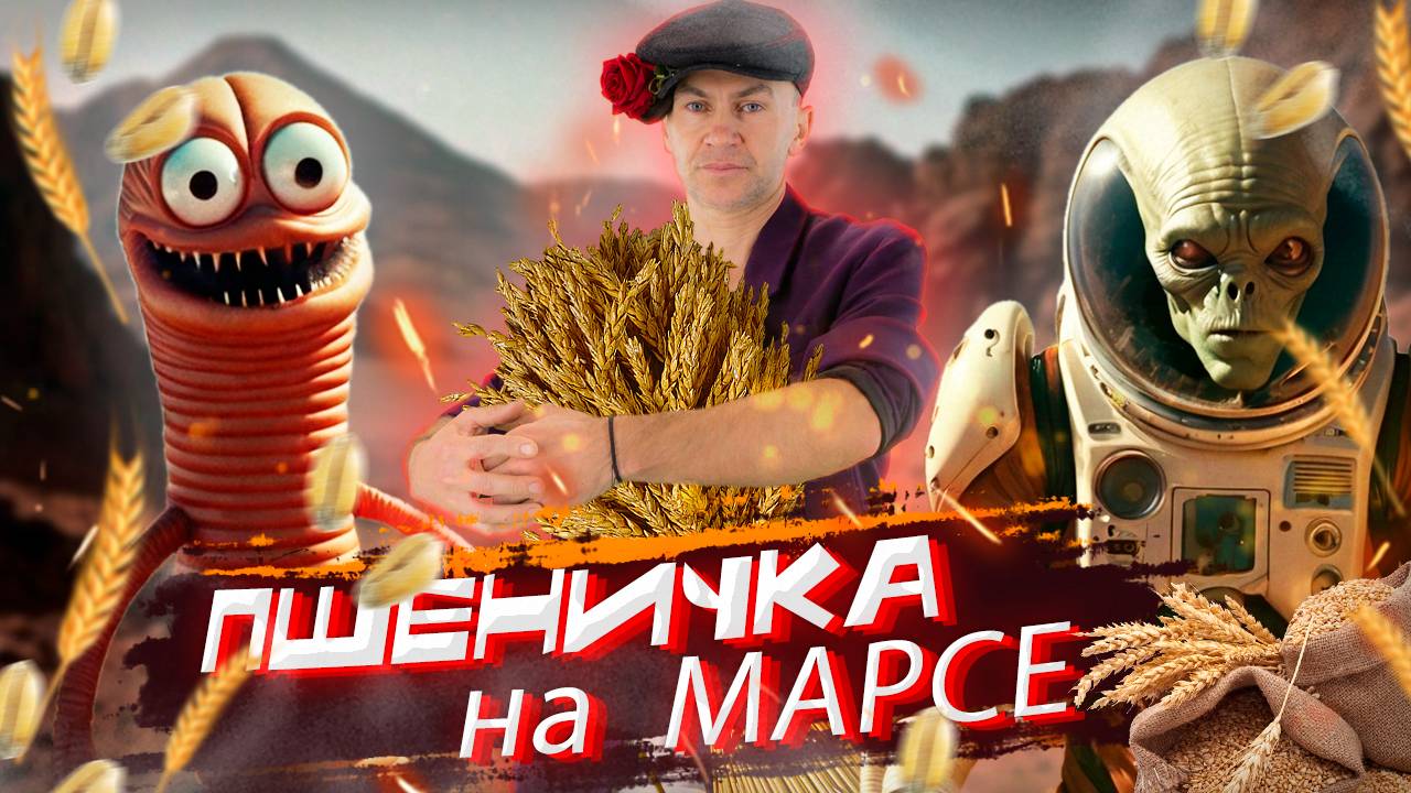 ПШЕНИЧКА на МАРСЕ! Пашня и урожай — символы труда, терпения и благодарности.