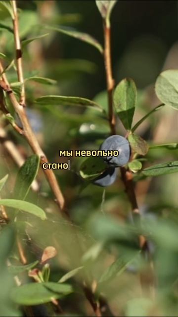 Согласны с классиком?