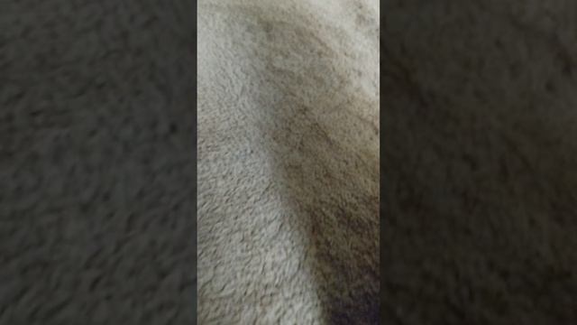 Смотрю!  Видео! Озвучки! 1! Часть!!