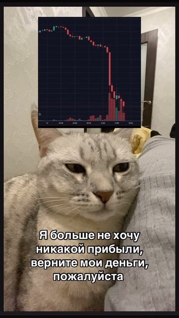 28-04-2025