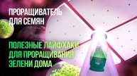 Проращиватель для семян. Полезные лайфхаки для проращивания зелени дома