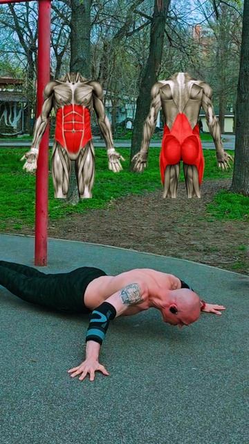 Планка #спорт #nogymworkout #челленджы #calisthenics
