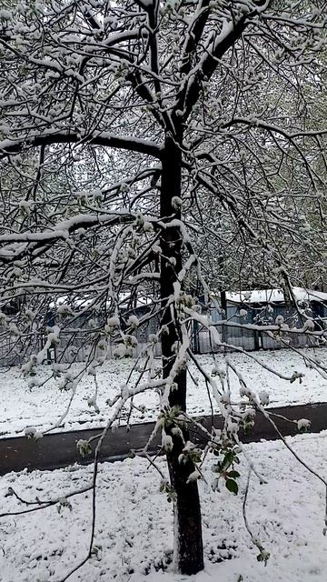 Пришла зима в Апреле