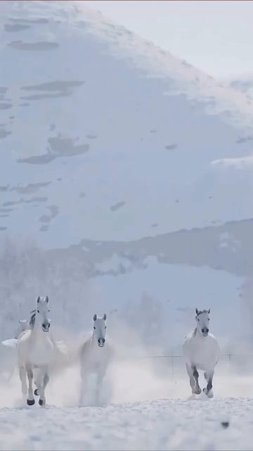 Эта короткая практика поможет тебе замедлиться, снять напряжение и вернуть ощущение спокойствия.