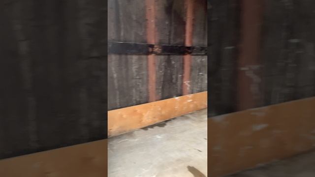 Газель 4м