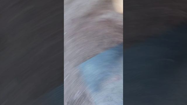 гулянка 2 часть