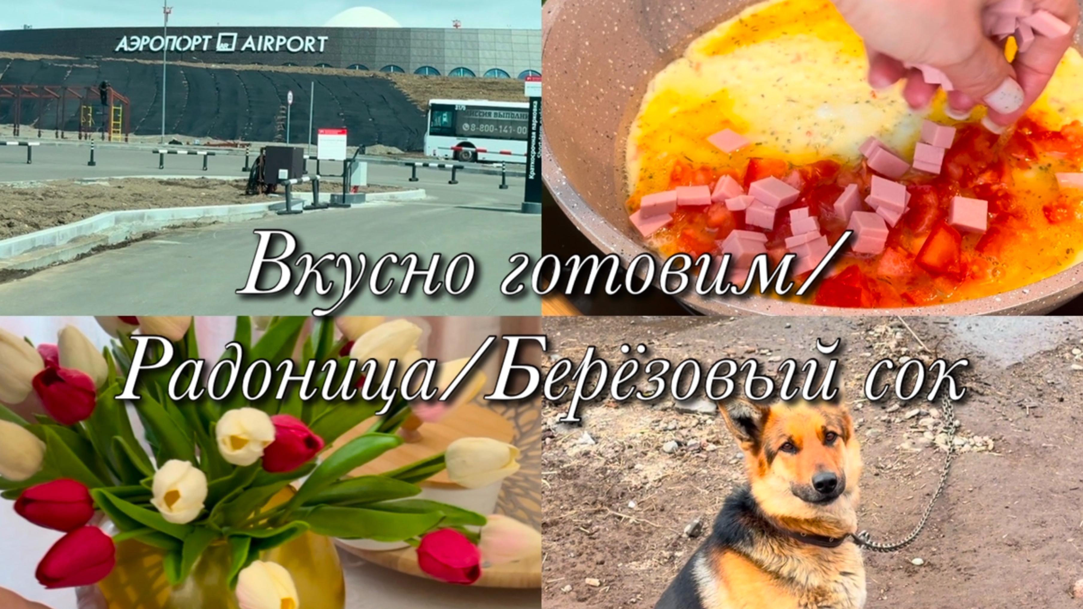 Готовим🧑🏻🍳Радоница🕊️Берёзовый сок🌳