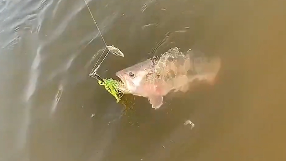 БЛЕСТЯЩИЕ  30  БЛЁСЕН ДЛЯ РЫБАЛКИ С АЛИЭКСПРЕСС.! 🐠🐋🐟