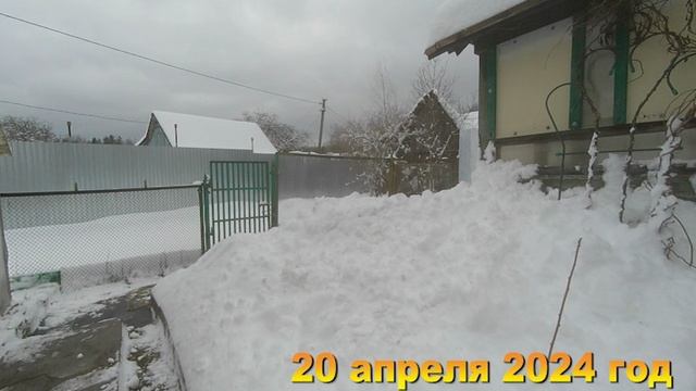 7 соток. В конце апреля выпал снег 30 см.  Хроника Апрель 2024 год. 2 часть