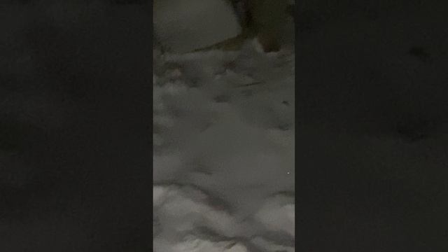 29-04-2025# СКОРО МАЙ