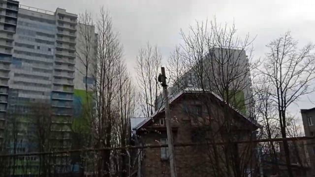 завОдчик голубей выгУливает