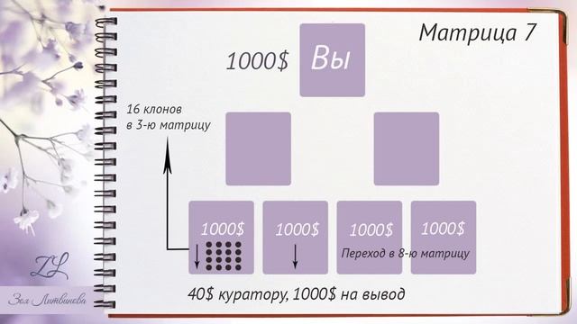 МАРКЕТИНГ  ПЛАН КЛУБА LifeStyler коротко