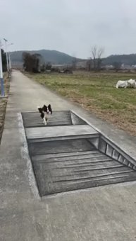 Как это вообще, 3D графика...