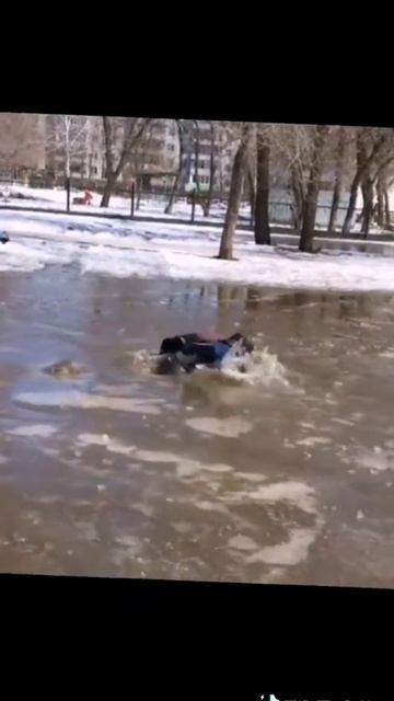 Меме