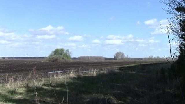 Муромцево 29 апреля 2025 г Гуровские поля поля готовятся к посевной...