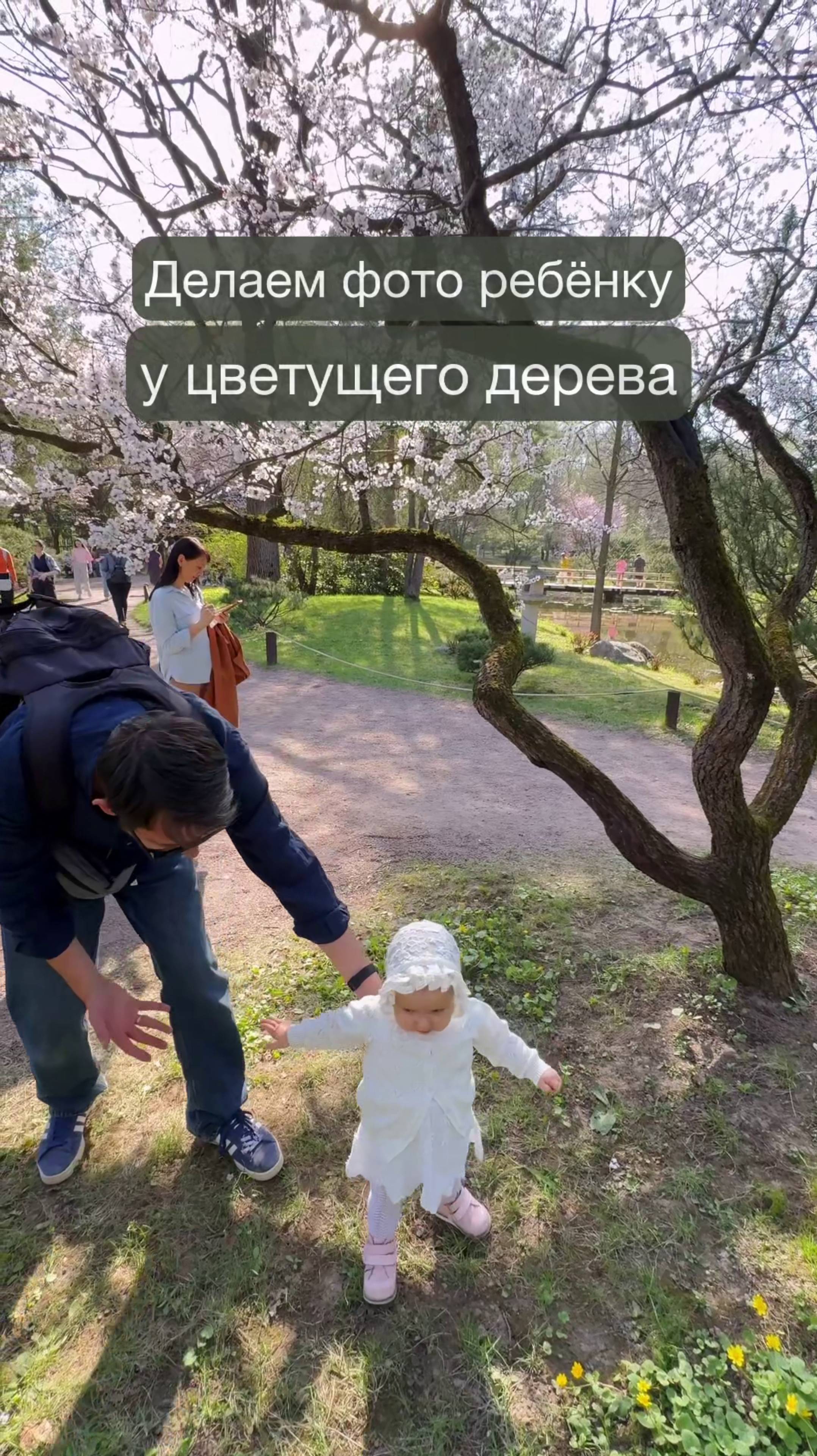 Делаем фото ребёнку в цветущего дерева