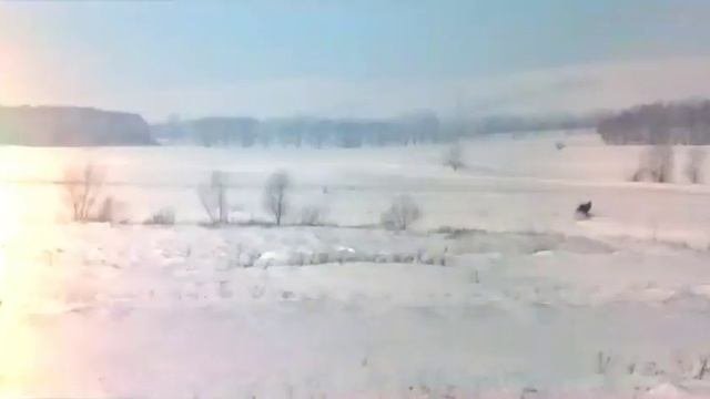 думная шушь2016