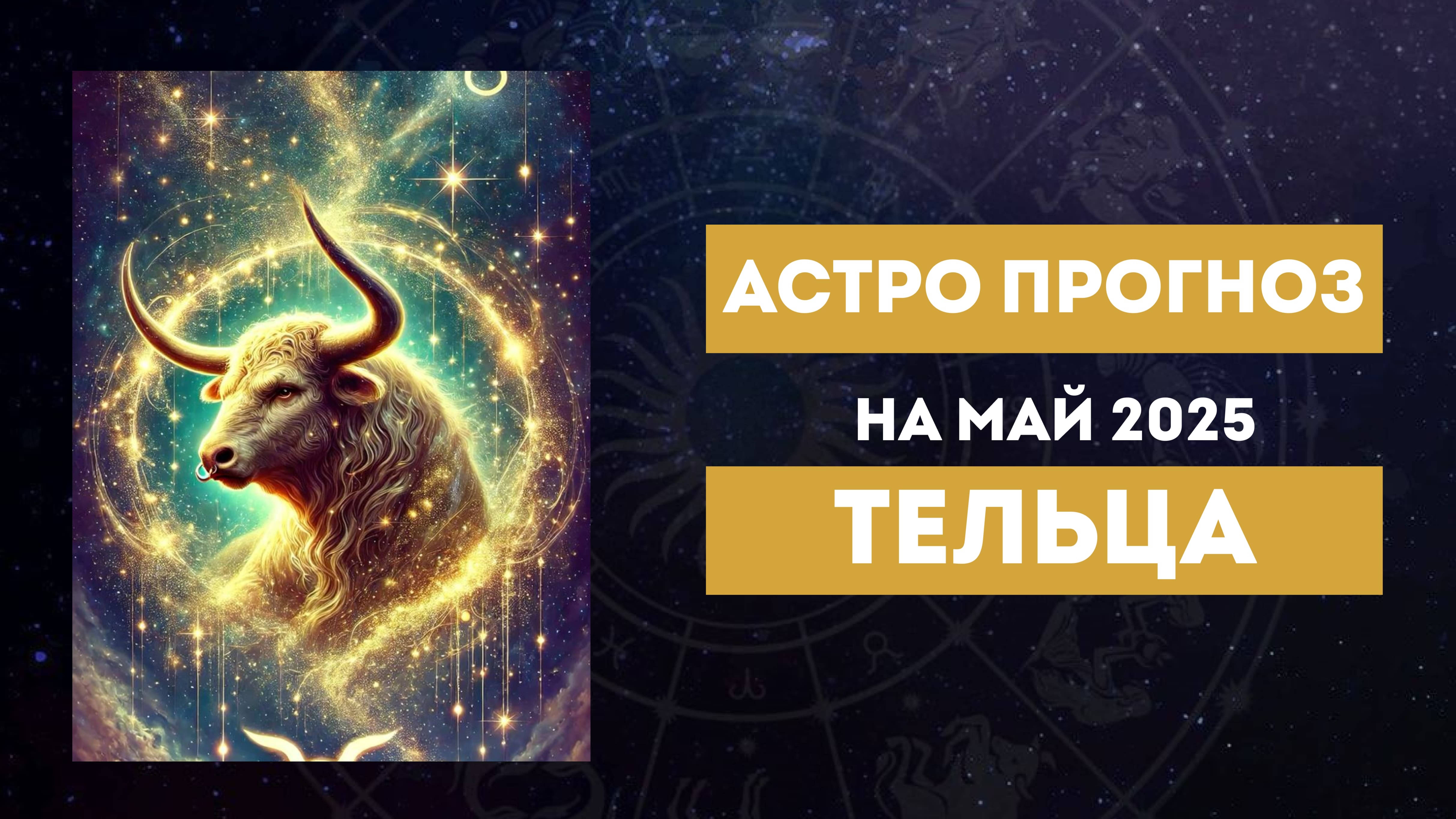 ТЕЛЕЦ МАЙ