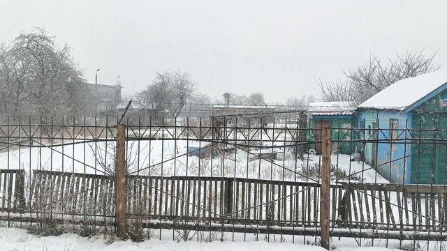 Видео обои Снег 2022.12.09