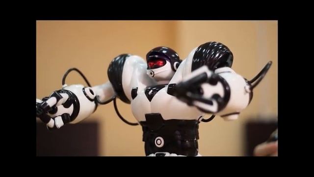 Суббота 8:20: музыкальные события года, профессии будущего, разведение кур