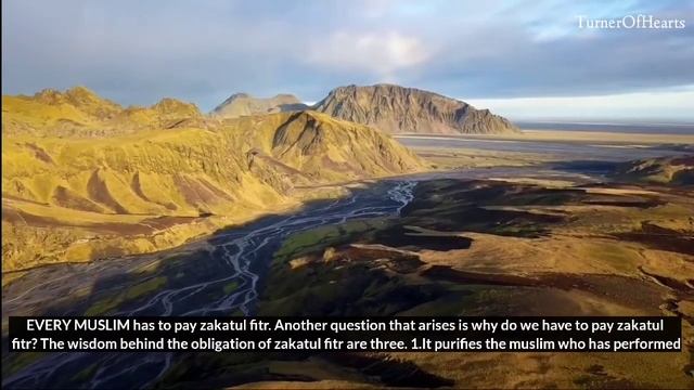 Why is ZAKAH important ? - A fundamental pillar of Islam #motivation #ramadan #zakah #islamic