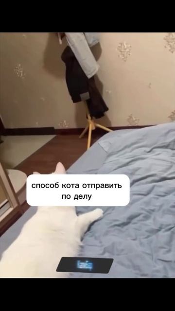Умный дом 😂