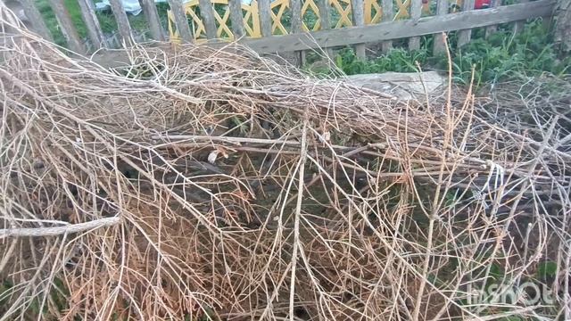 На даче спустя месяц, 26.04.25