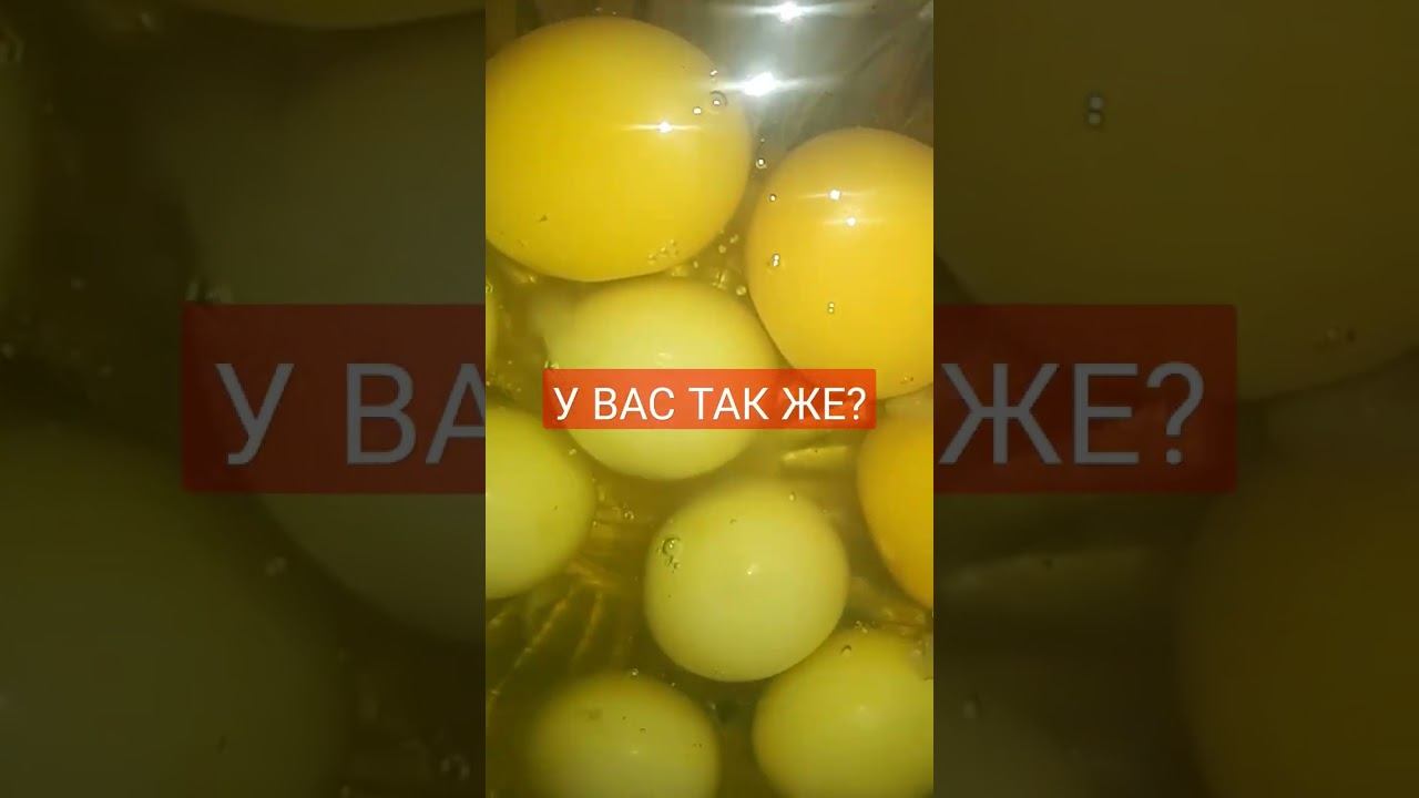 #2023 #россия #обзор #новыйгод #москва #краснодар #2022 #ростов #праздник #жизнь #лайфхаки #еда #топ