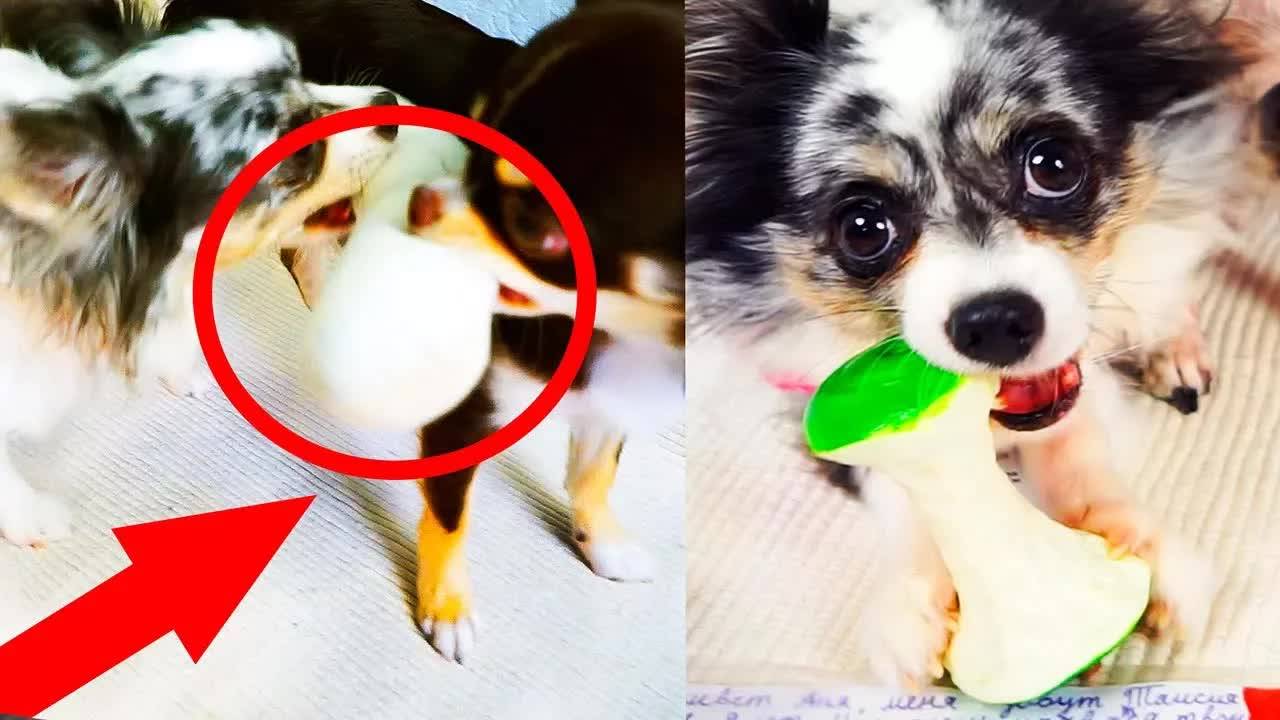 Что лежало в коробке?! Странные находки в подарках от зрителей 😱📦