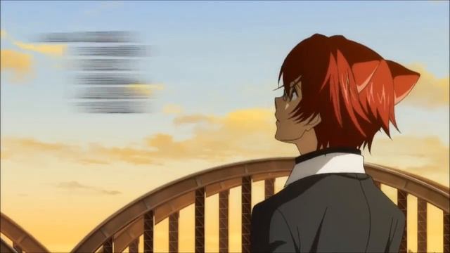 детектив оборотень инаба