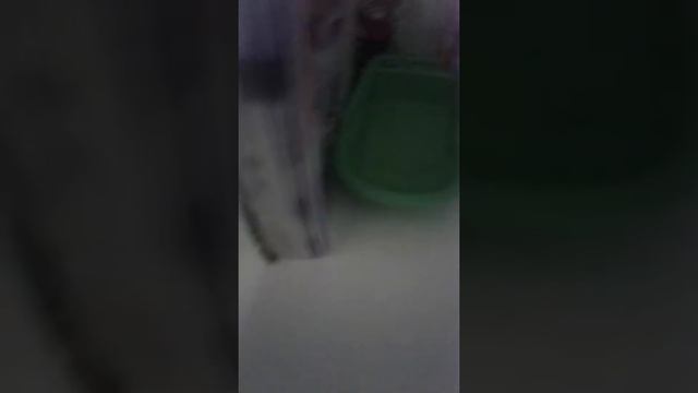 Обзор дома для кукол ,моё первое видео!