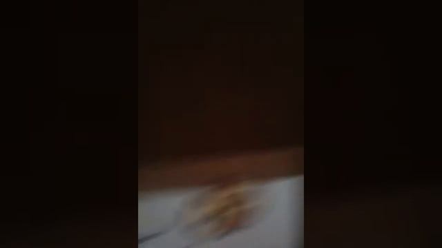Комикс фнаф день рождения Мангл глова первая (1 часть)