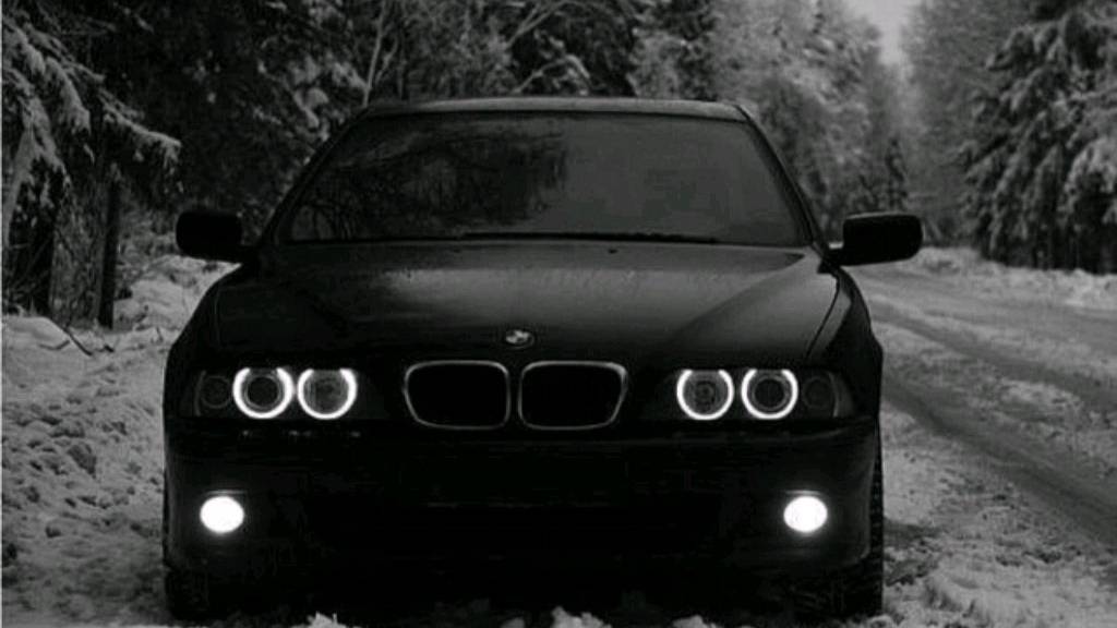 тайный дом в дереве