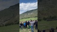 Скачки Маали