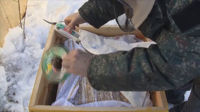 Последние дни зимовки пчёл 2021