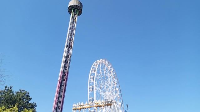 video_2025-04-29_12-50-29