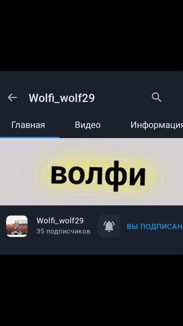 Волиф топчик