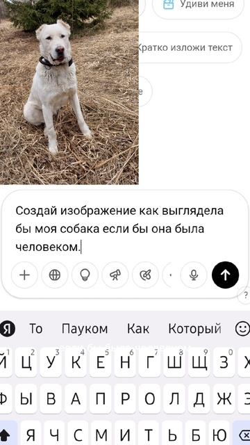 Похожа ?!