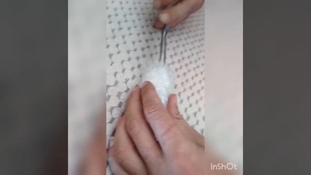 How i opened the package with the queen ant/ Как я открывал посылку
