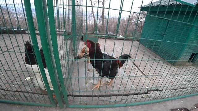 Посещение горного парка Кок-тобе!