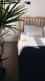 Sleepy Duckling in Bed 🥰🐥 #shorts #duck