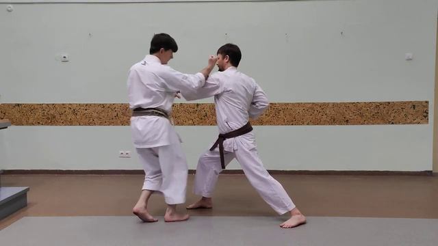 Heian Yondan kata bunkai (full kata)