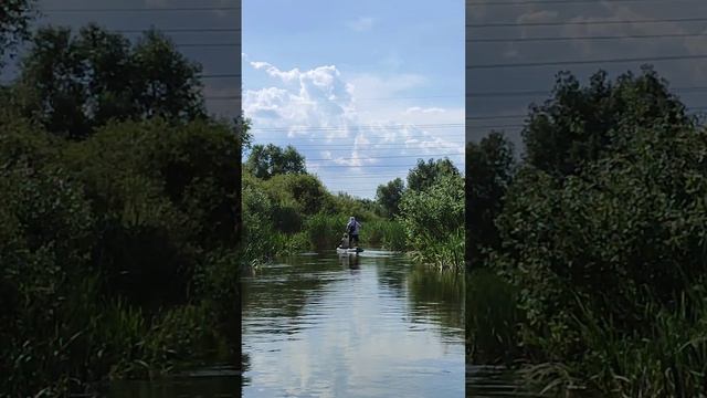 катаемся на саппах