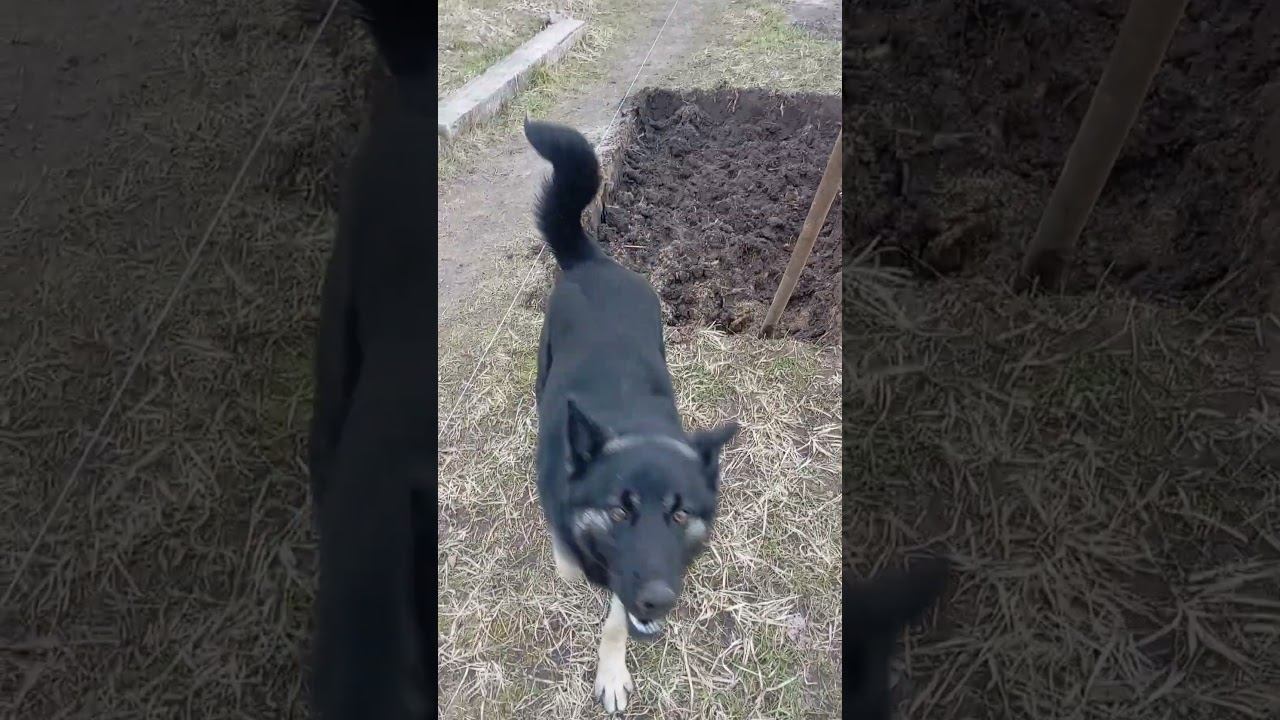 не мой размер