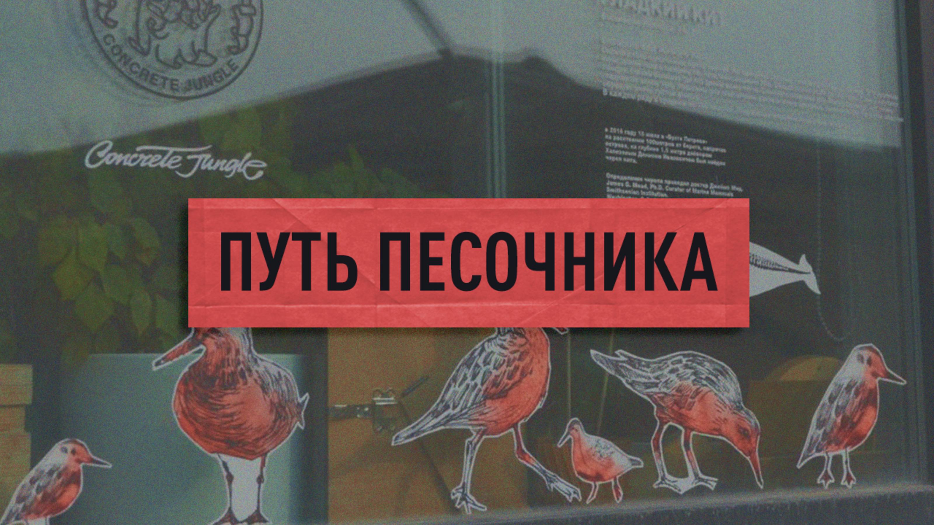 ПУТЬ ПЕСОЧНИКА