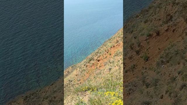 🔥#искраелены🔥